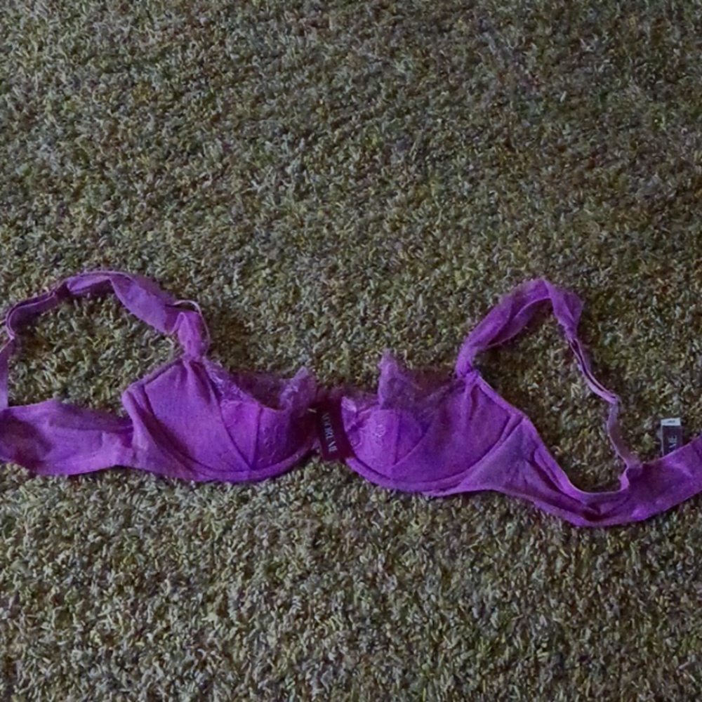 Adore me 36C Purple lace bra